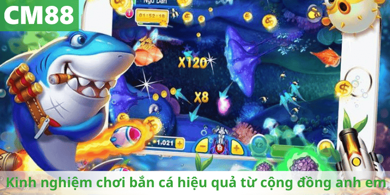 Kinh nghiệm chơi bắn cá hiệu quả từ cộng đồng anh em